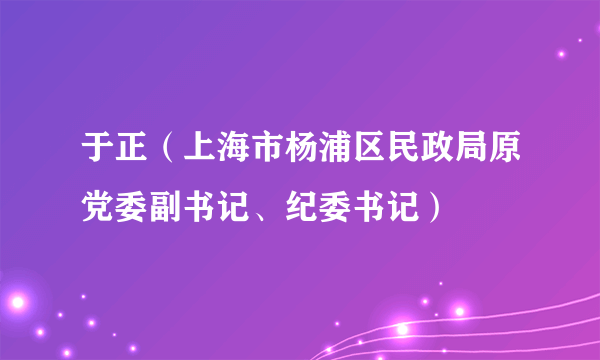 于正（上海市杨浦区民政局原党委副书记、纪委书记）