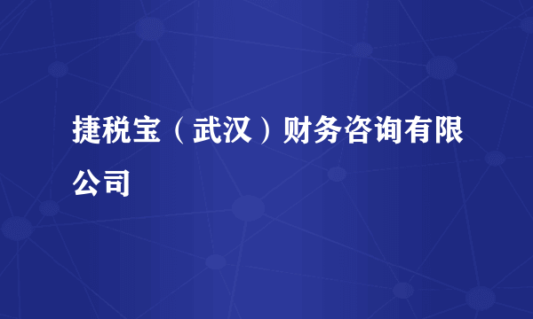 捷税宝（武汉）财务咨询有限公司