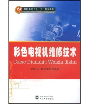 彩色电视机维修技术（2009年武汉大学出版社出版的图书）