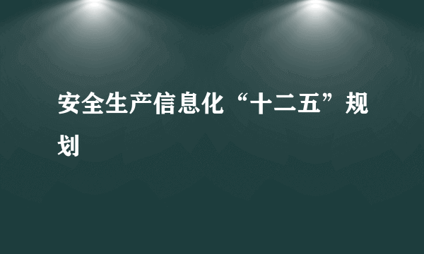 安全生产信息化“十二五”规划