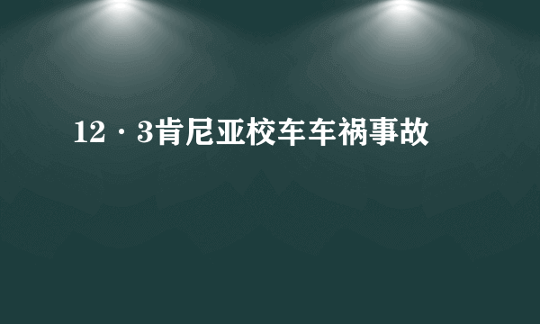 12·3肯尼亚校车车祸事故