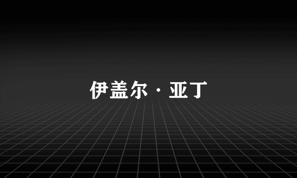 伊盖尔·亚丁