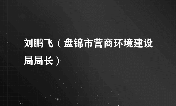 刘鹏飞（盘锦市营商环境建设局局长）