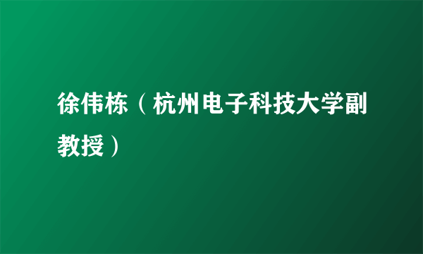 徐伟栋（杭州电子科技大学副教授）