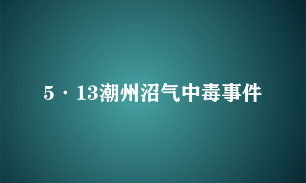 5·13潮州沼气中毒事件