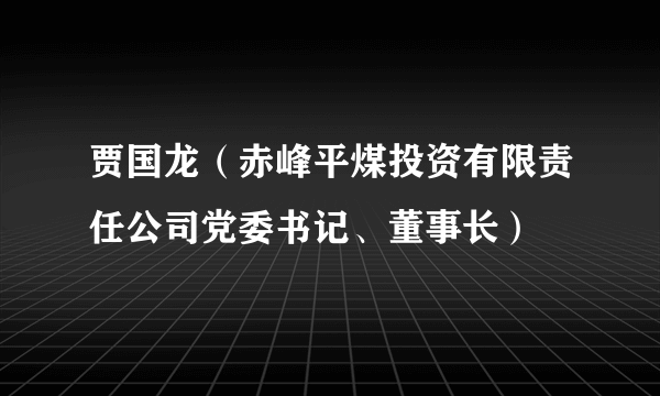 贾国龙（赤峰平煤投资有限责任公司党委书记、董事长）