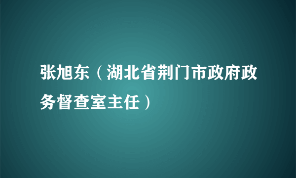 张旭东（湖北省荆门市政府政务督查室主任）