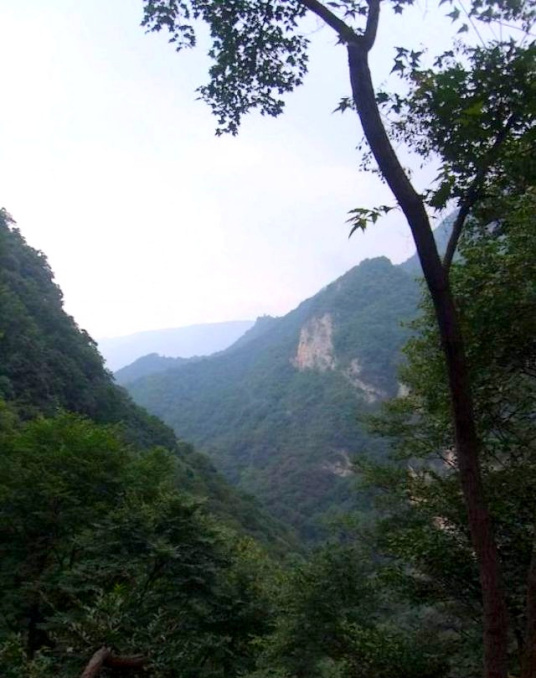 千山（陕西省境西部山脉（泾渭分水岭））