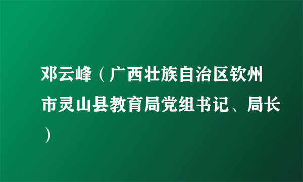 邓云峰（广西壮族自治区钦州市灵山县教育局党组书记、局长）