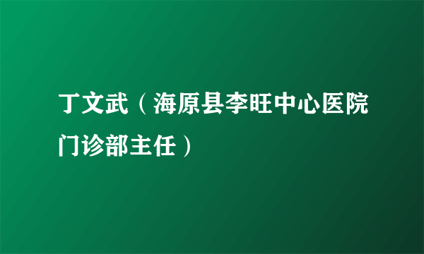 丁文武（海原县李旺中心医院门诊部主任）