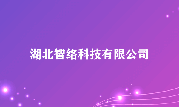 湖北智络科技有限公司