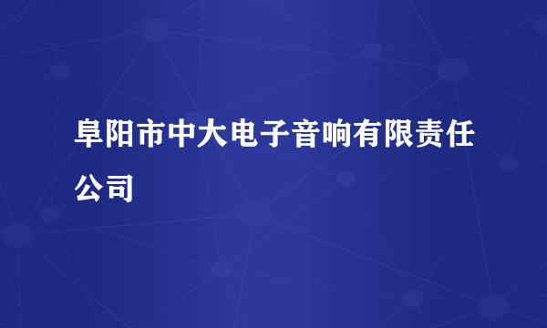 阜阳市中大电子音响有限责任公司