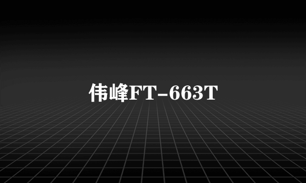 伟峰FT-663T