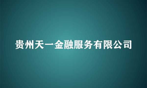 贵州天一金融服务有限公司