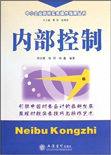 内部控制（2009年立信会计出版社出版的图书）