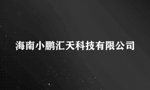 海南小鹏汇天科技有限公司