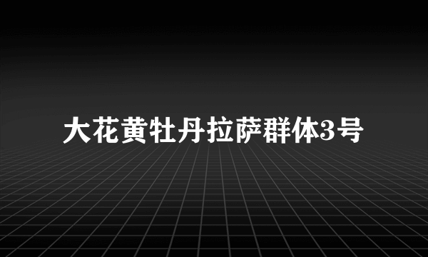 大花黄牡丹拉萨群体3号