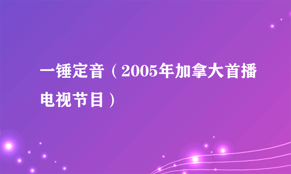 一锤定音（2005年加拿大首播电视节目）