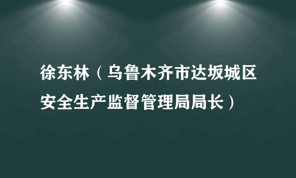 徐东林（乌鲁木齐市达坂城区安全生产监督管理局局长）