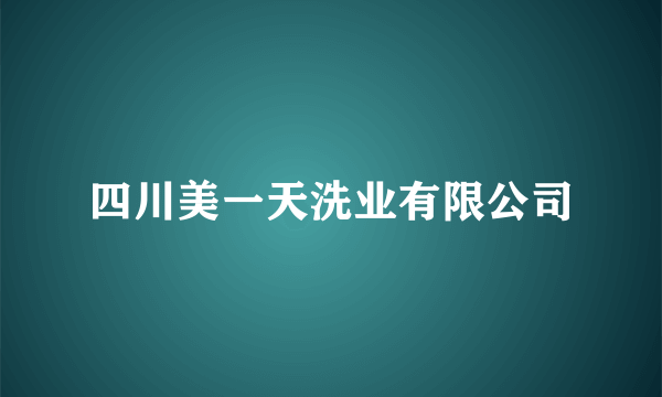 四川美一天洗业有限公司