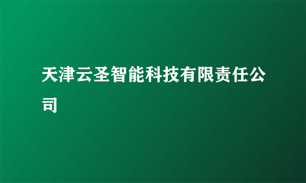 天津云圣智能科技有限责任公司