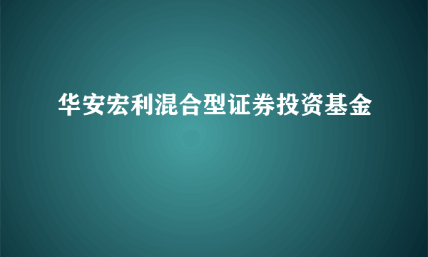 华安宏利混合型证券投资基金