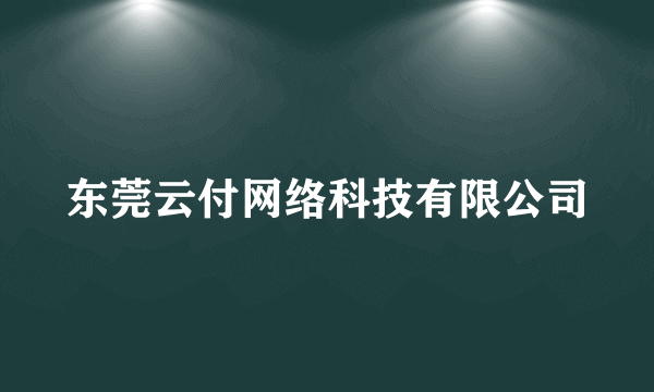 东莞云付网络科技有限公司