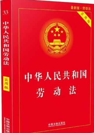 中华人民共和国劳动法（2008年中国法制出版社出版的图书）