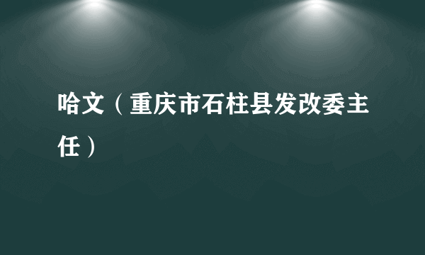 哈文（重庆市石柱县发改委主任）