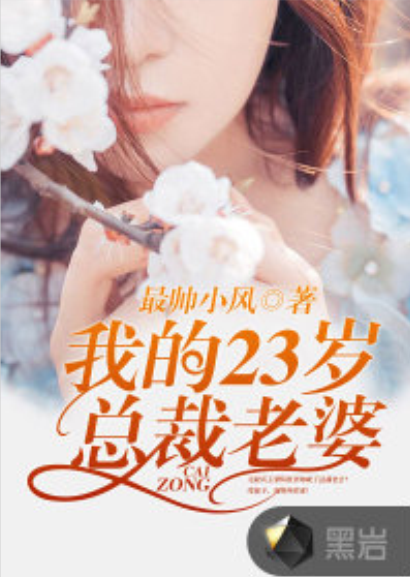 我的23岁总裁老婆