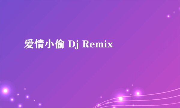 爱情小偷 Dj Remix