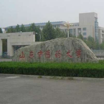 山东中医药大学中医学院