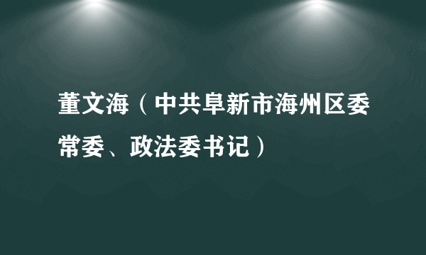 董文海（中共阜新市海州区委常委、政法委书记）