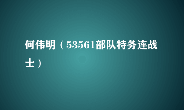 何伟明（53561部队特务连战士）