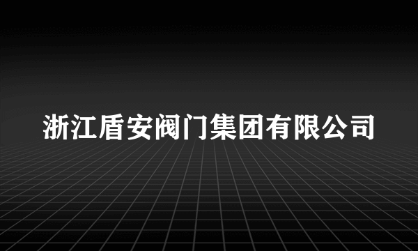 浙江盾安阀门集团有限公司