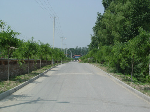 唐家堡村（北京市延庆县延庆镇下辖村）