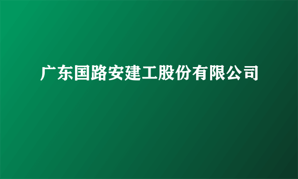 广东国路安建工股份有限公司