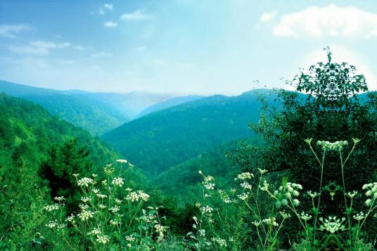 青松岭景区