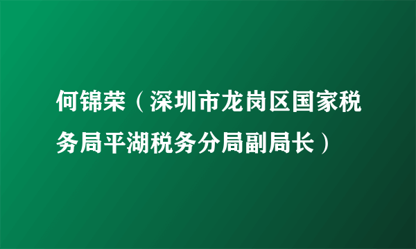 何锦荣（深圳市龙岗区国家税务局平湖税务分局副局长）