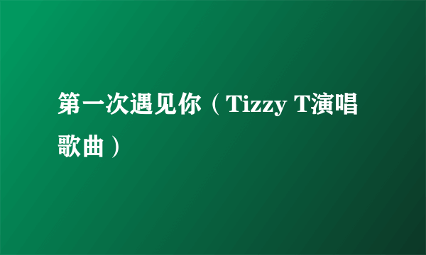 第一次遇见你（Tizzy T演唱歌曲）