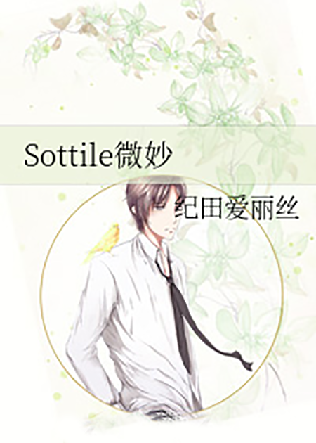 Sottile微妙