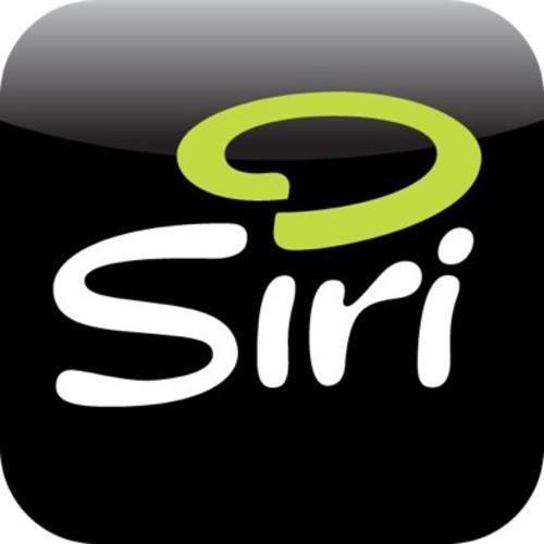 siri（LELO经典产品）