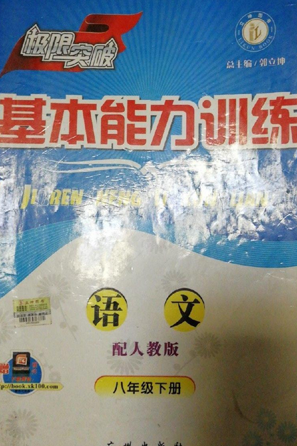 极限突破（2007年广州出版社出版的图书）