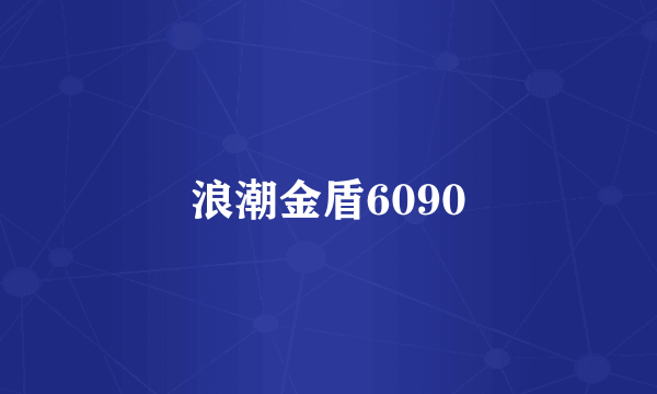 浪潮金盾6090