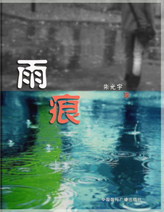 雨痕（2008年中国国际广播出版社出版的图书）