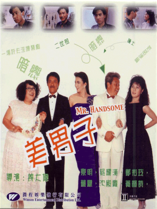 美男子（1987年姜大卫执导电影）