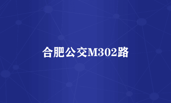 合肥公交M302路