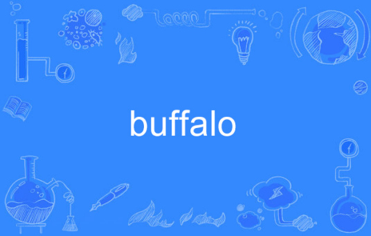 Buffalo（英语单词）