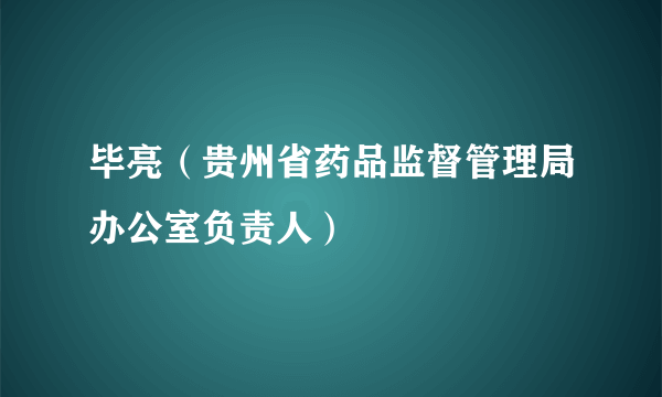 毕亮（贵州省药品监督管理局办公室负责人）