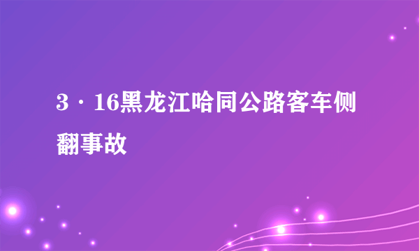 3·16黑龙江哈同公路客车侧翻事故